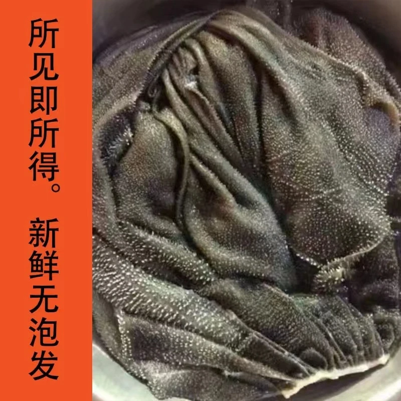 【牛百叶】百叶带底板原汁原味 （无泡发） 固形物含量95