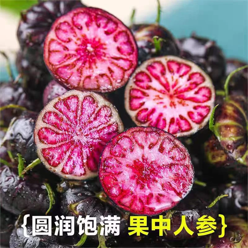 顺丰包邮：云南红果参甜鲜高山红果参新鲜现摘现发当季水果125g盒