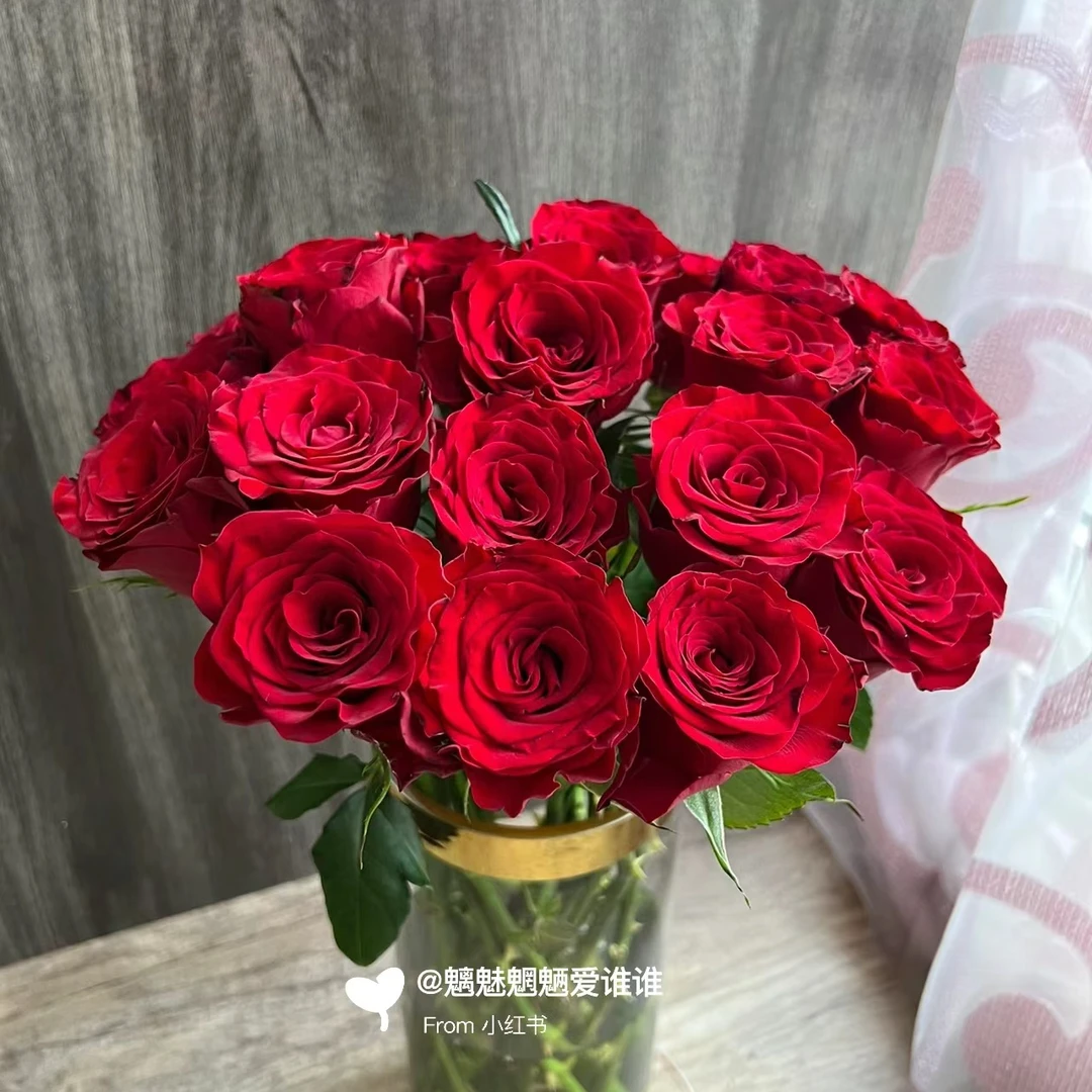 【高原红玫瑰】高等级玫瑰/全场1单送货上门（2单升级顺丰包邮）