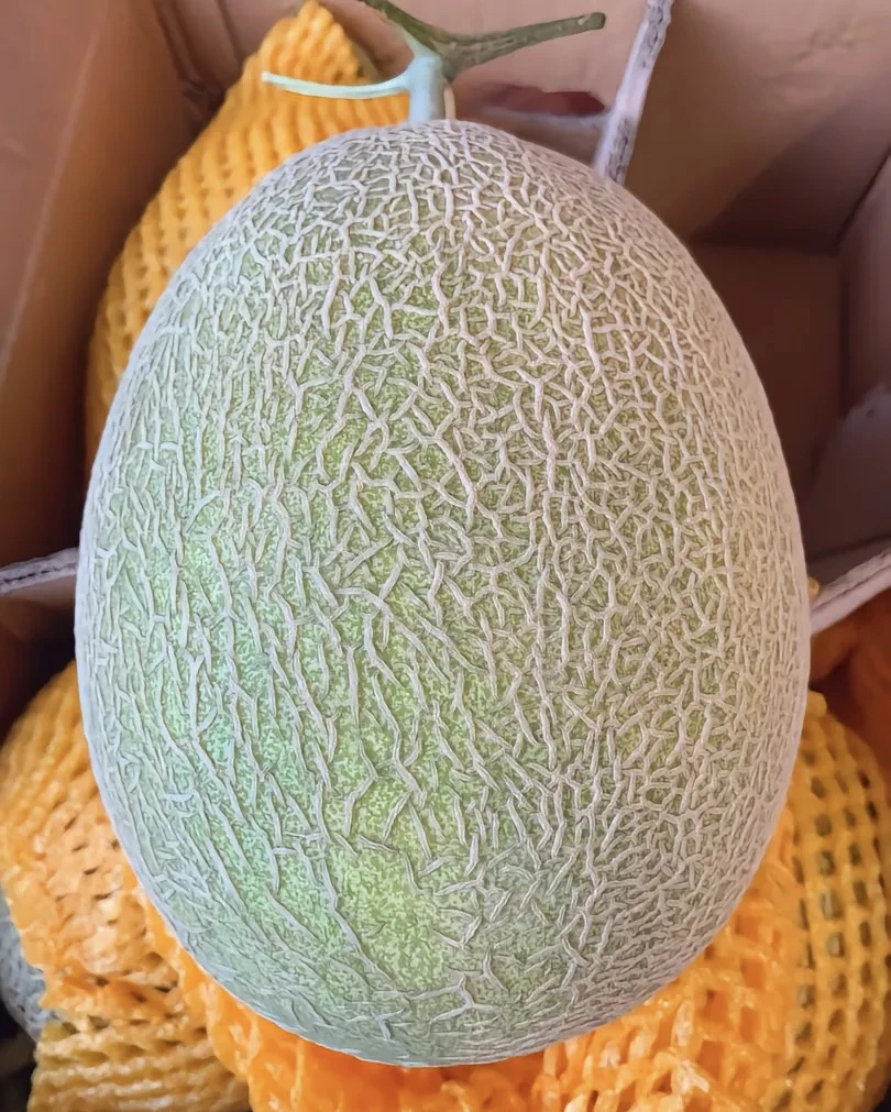玲珑蒂哈密瓜一个5斤左右