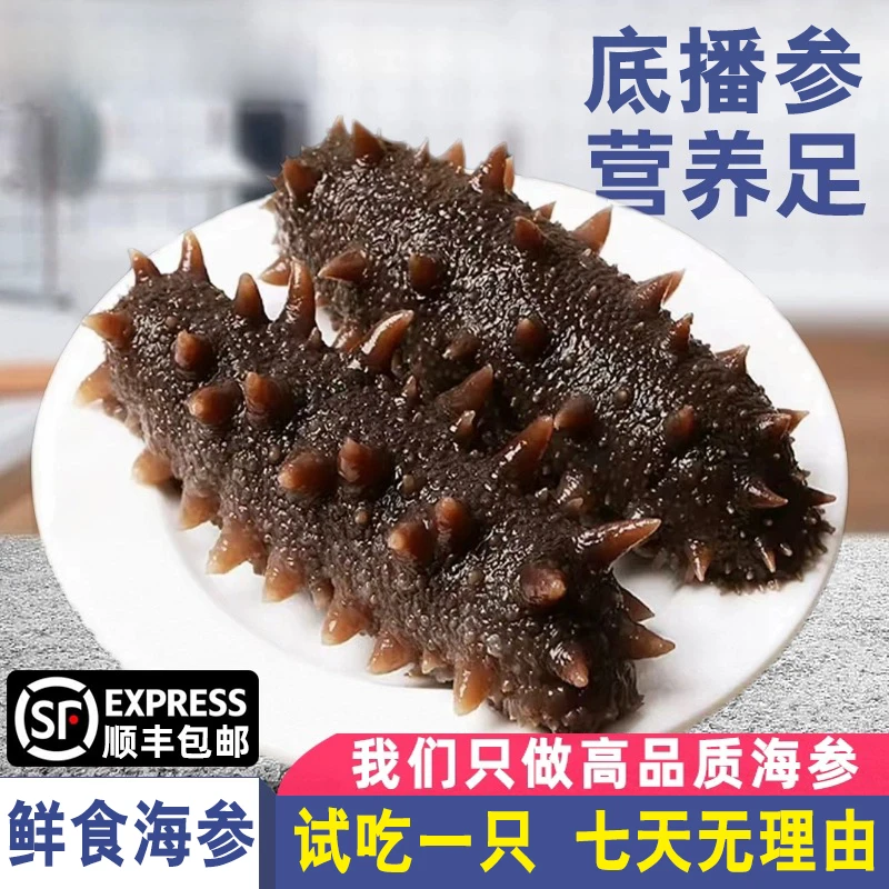 【喜迎国庆】鲜食海参 深海底播辽参 自然生长 无添加 鲜活加工