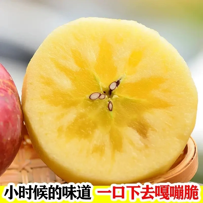 【咸宁小时达】阿克苏冰糖心苹果*1箱（4800g～5000g)