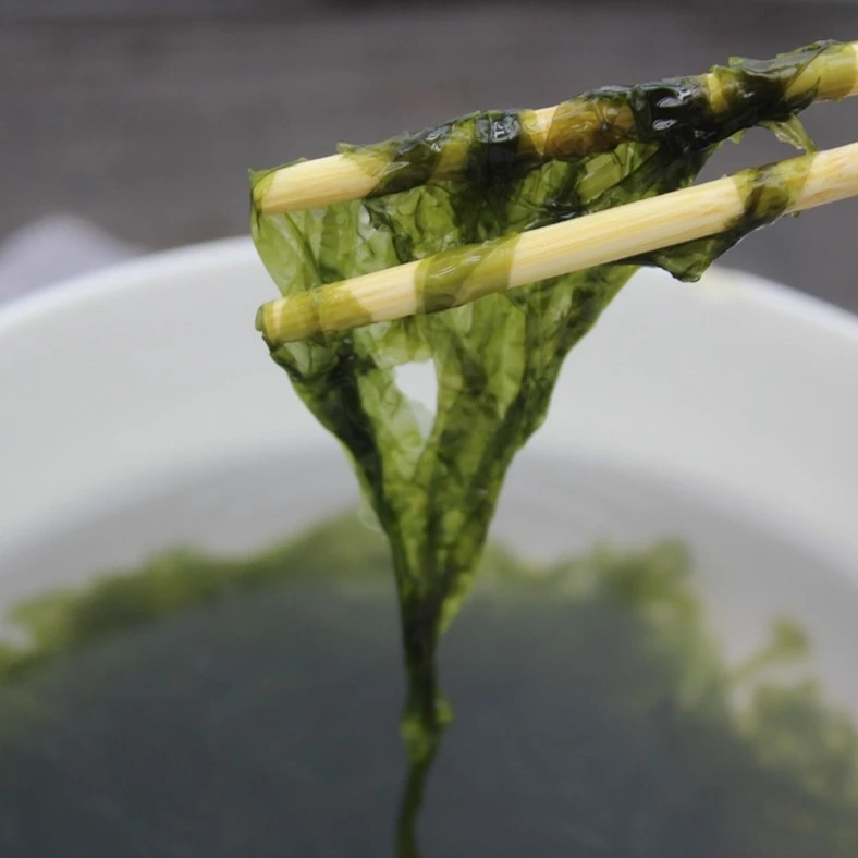 京日鲜 紫菜细嫩无沙 紫菜30g±3g/一份紫菜蛋花汤无沙细嫩