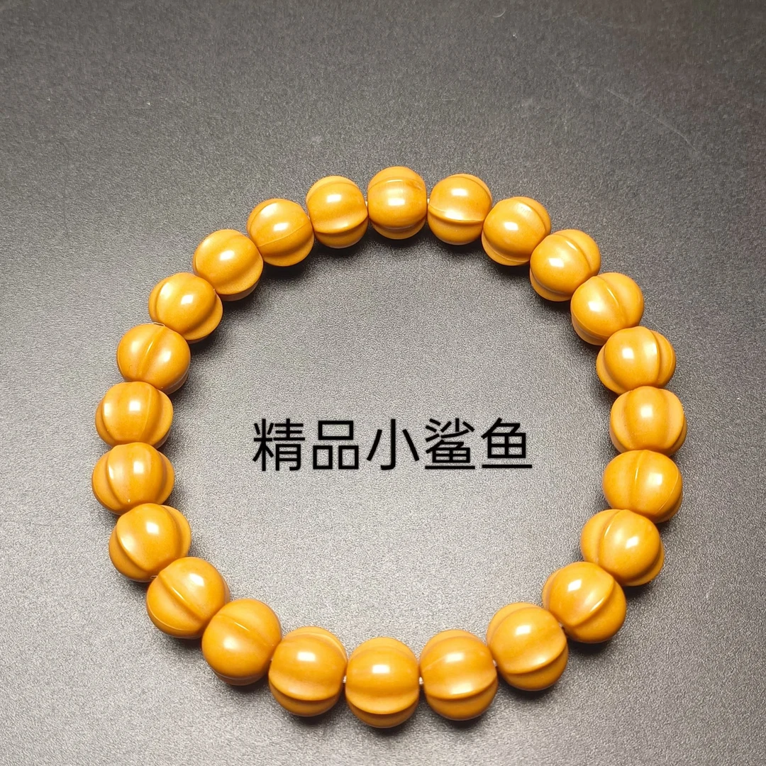 精品小鲨鱼（全品)