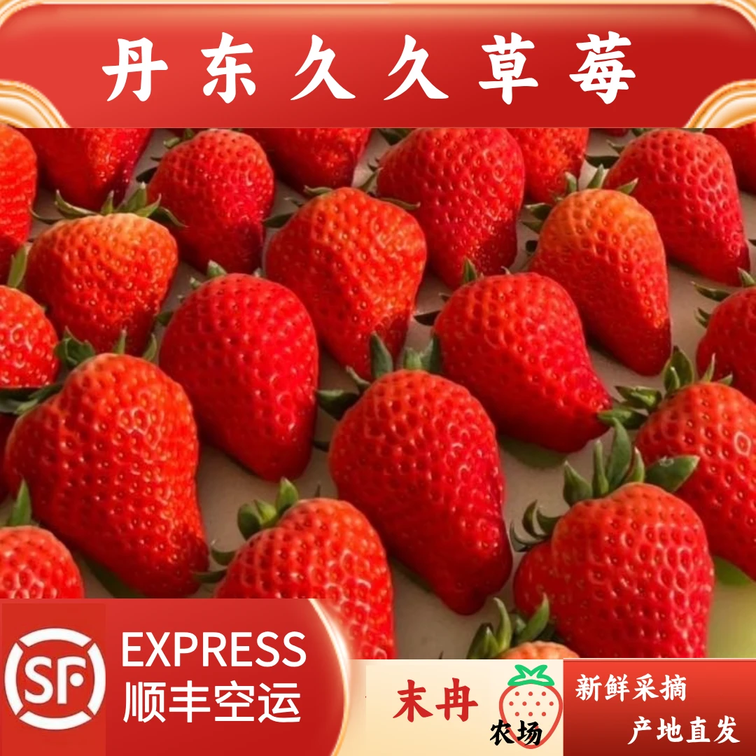 【5斤装】净果4.5斤丹东久久草莓产地直发顺丰空运自家果园
