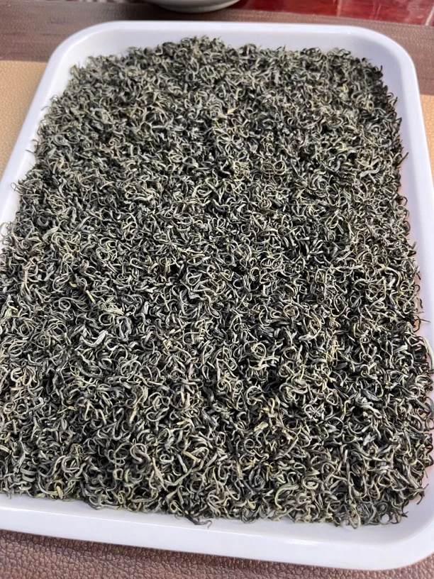 2024年新茶龙3香茶 高山口粮茶 绿茶 云雾绿茶A