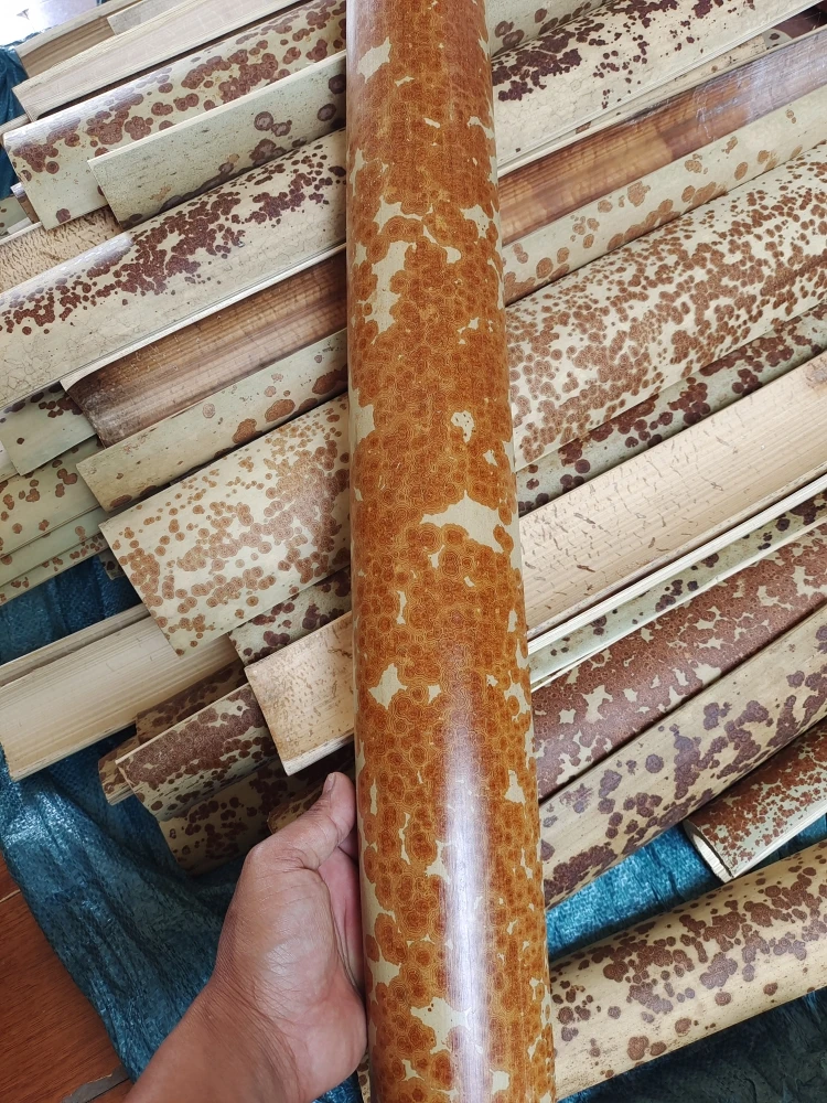 文玩折扇云妃扇料