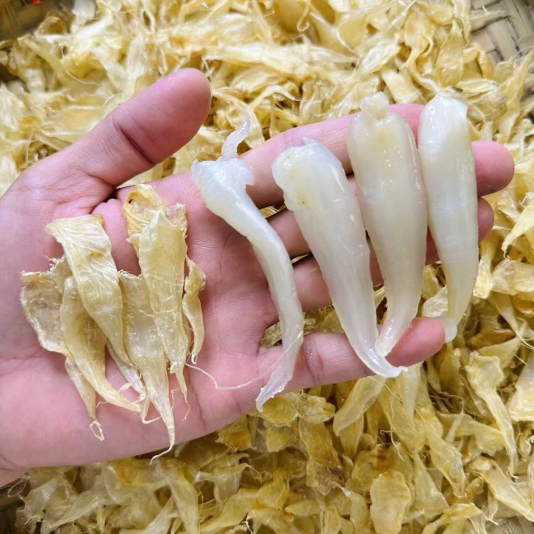 深海纯野豆仁公胶 小孩子口粮胶 BB煲粥煲汤滋补干货孩儿胶