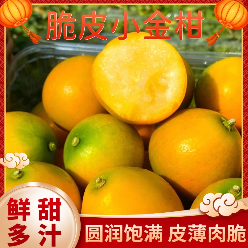 脆蜜金柑融安金桔春天无籽无核礼盒装