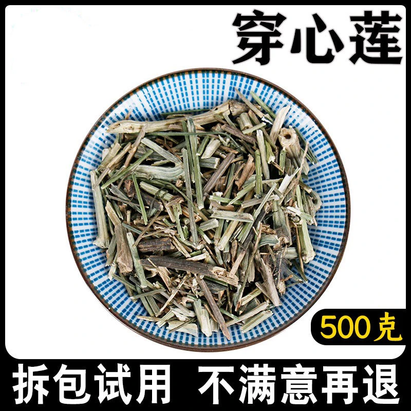 穿心莲精选500g新货穿心连苦胆草四方莲川心连
