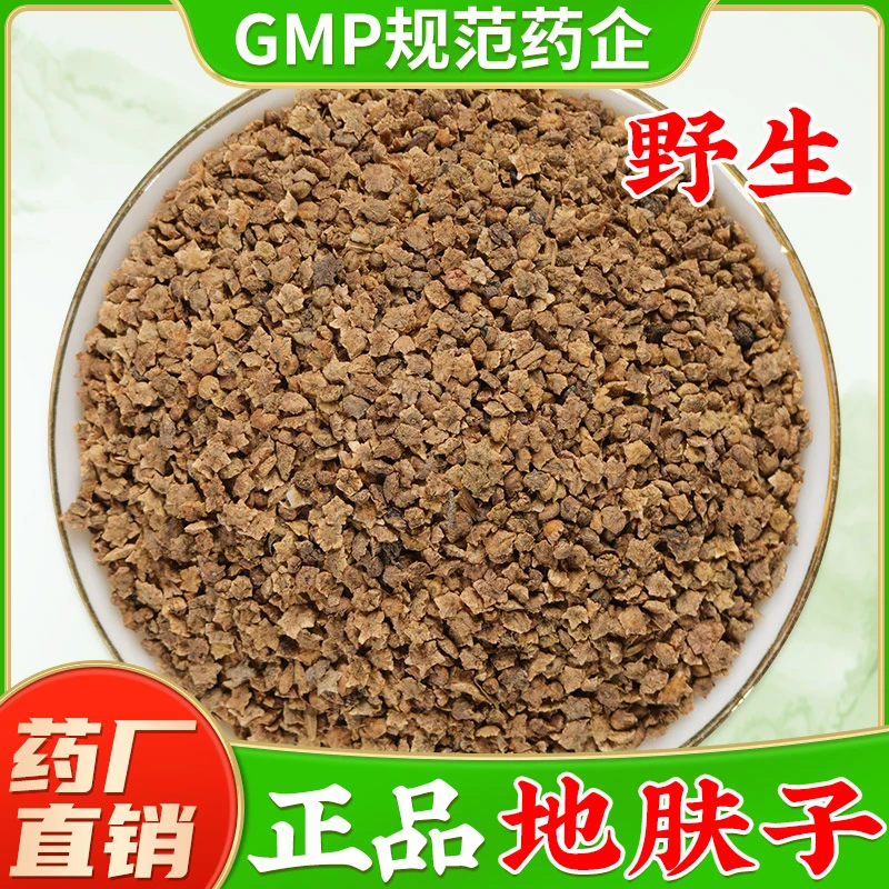 野生地肤子中药材正品新货地葵新鲜落帚千头子地肤子粉地肤子茶