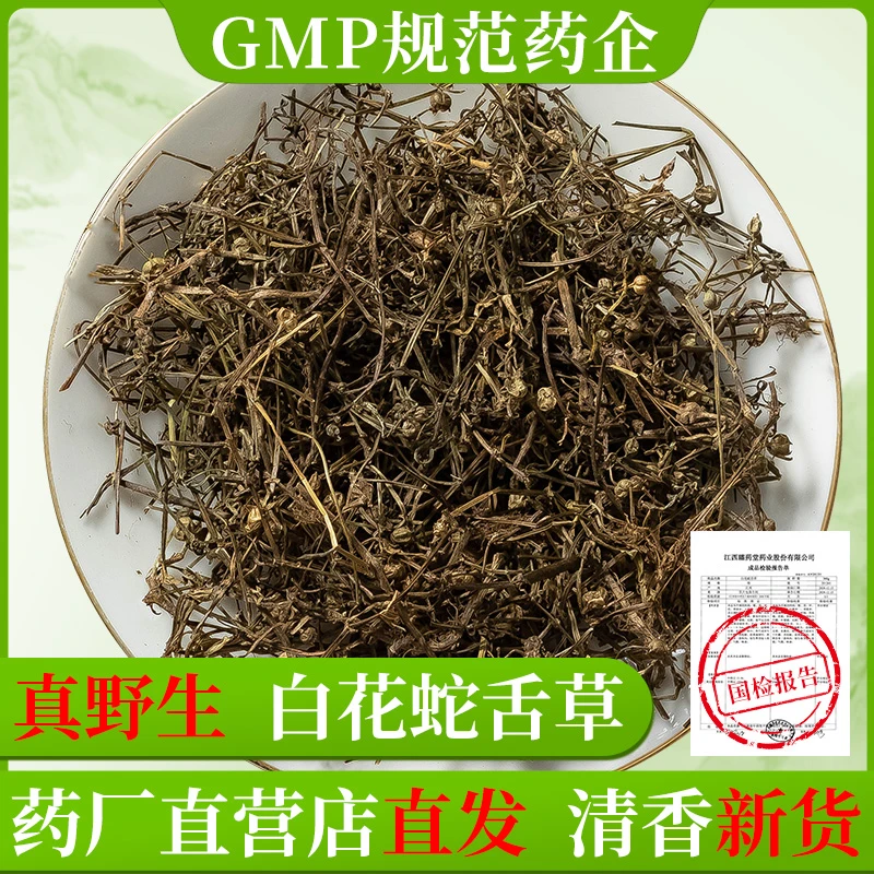 野生白花蛇舌草中药材旗舰店新鲜干货百花蛇舌草茶中草药材