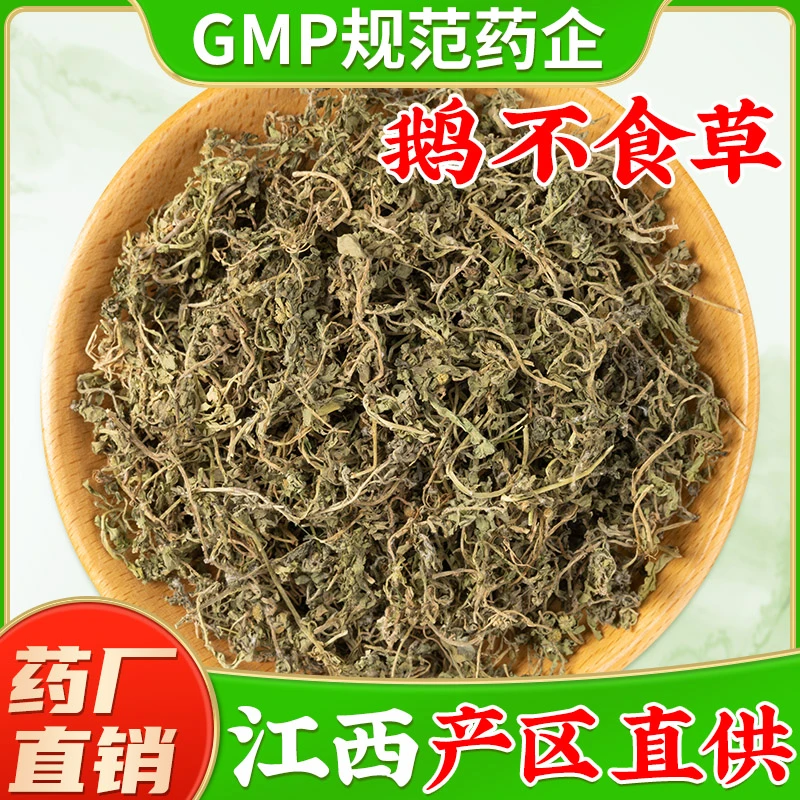 鹅不食草中药材官方旗舰店正品 鹅不食草新鲜干货石胡荽 现磨打粉