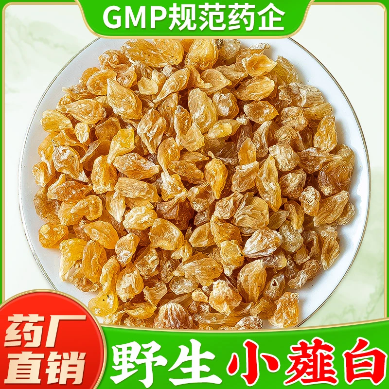 薤白中药材官方旗舰店正品薤白野生新鲜薤白头干货 野蒜山蒜