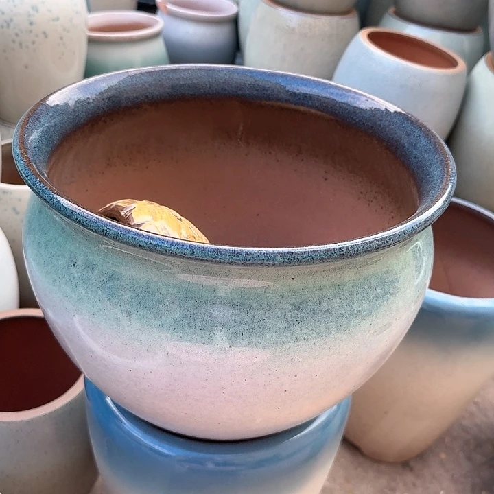 红陶20CM（含）-50CM（不含）