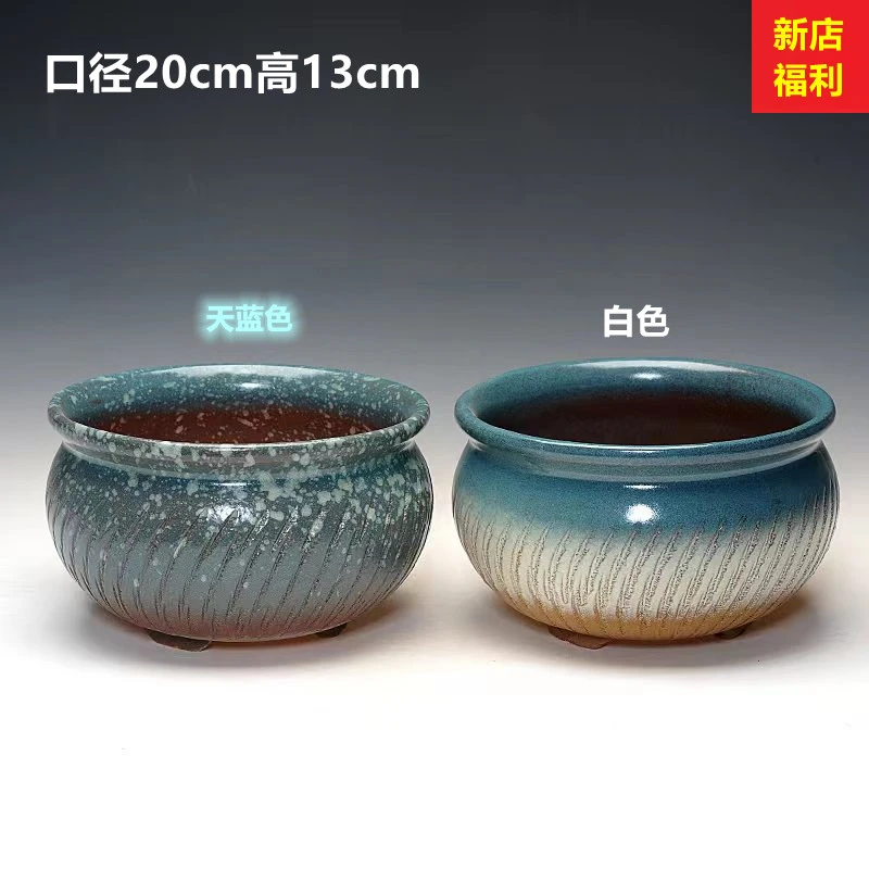 群生拼盘多肉老桩绿植花盆