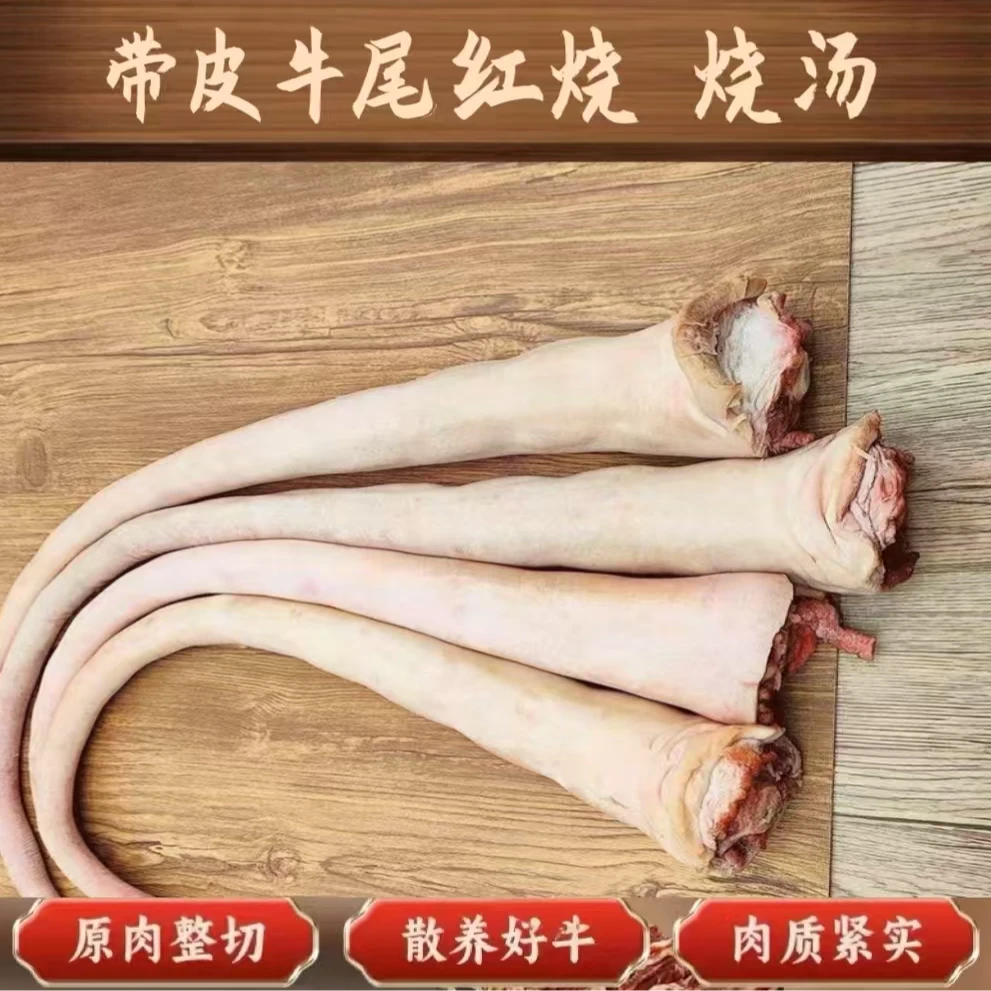带皮牛尾 四川特色金膘土黄牛纯草饲新鲜散养牛肉3斤起拍