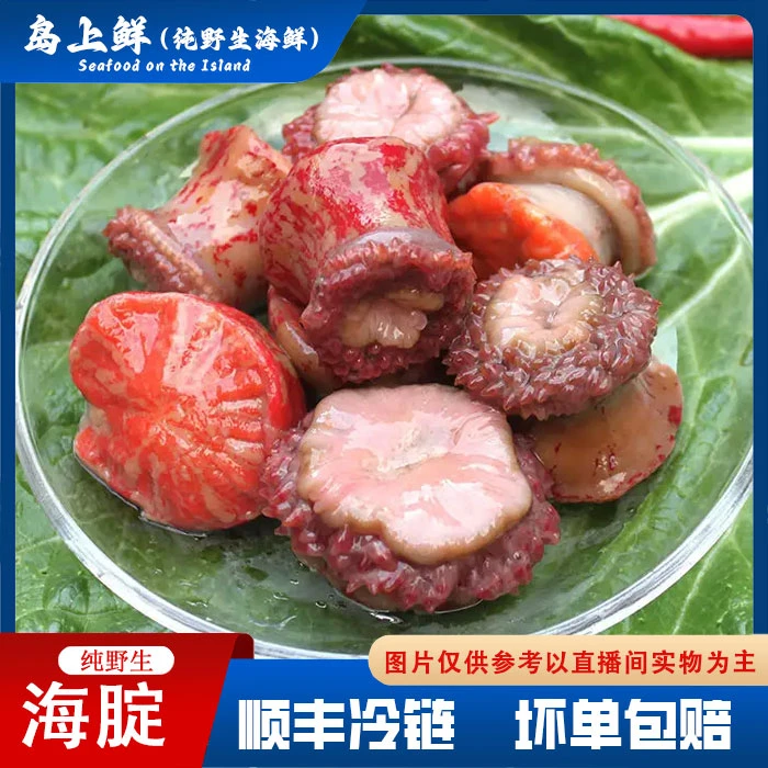 【每份4斤=纯野生海腚】又名海葵有大有小，有泥沙自行清洗介意勿拍，