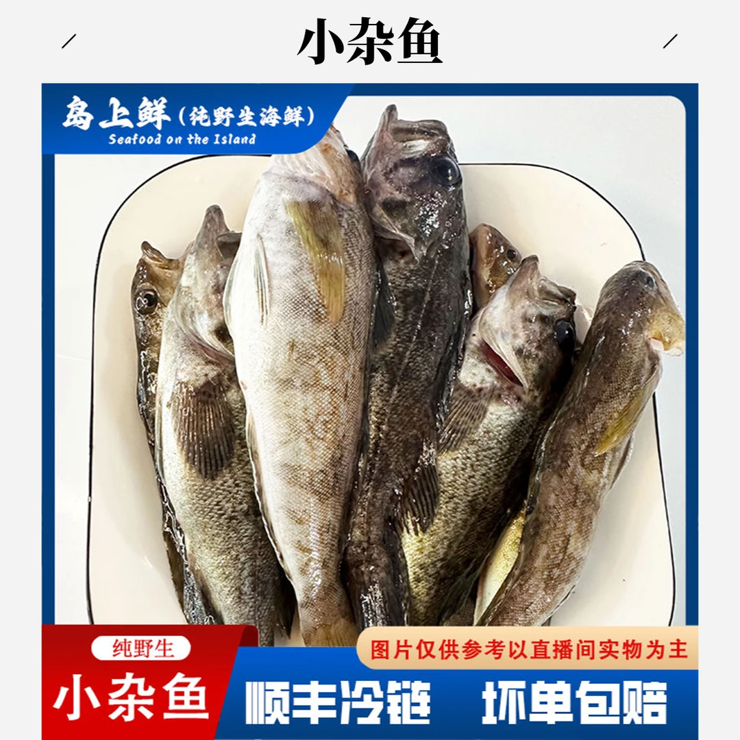 【每份4斤-野生小杂鱼】每箱2-3种左右，黑鱼为主，冷冻发货