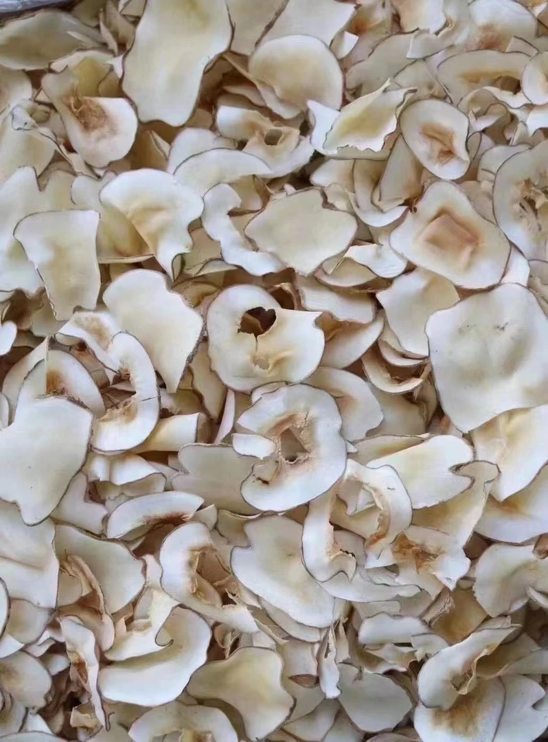 新鲜晒干海底椰黄色浓香原味干片肺呼吸煲汤料清热润燥甜品干货