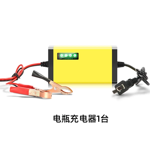 价值29元电瓶充电器