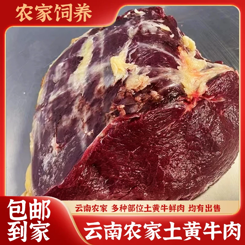 云南曲靖农家散养正宗土黄牛现宰现杀牛胸口肉牛臀肉 3斤|5斤包邮