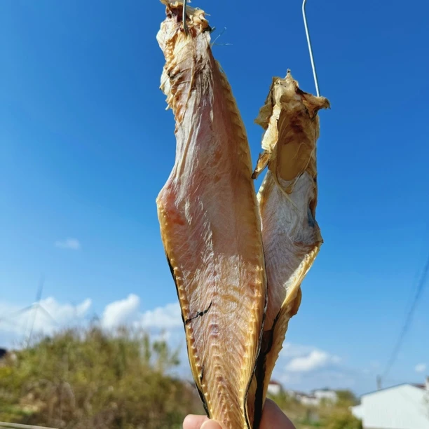 童儿鱼干 海鱼干 海捕淡晒 无科技海风吹太阳 晒的鱼干