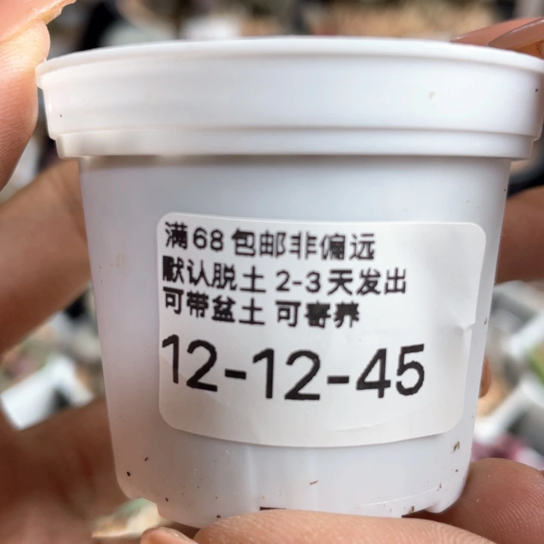 【闪购商品】