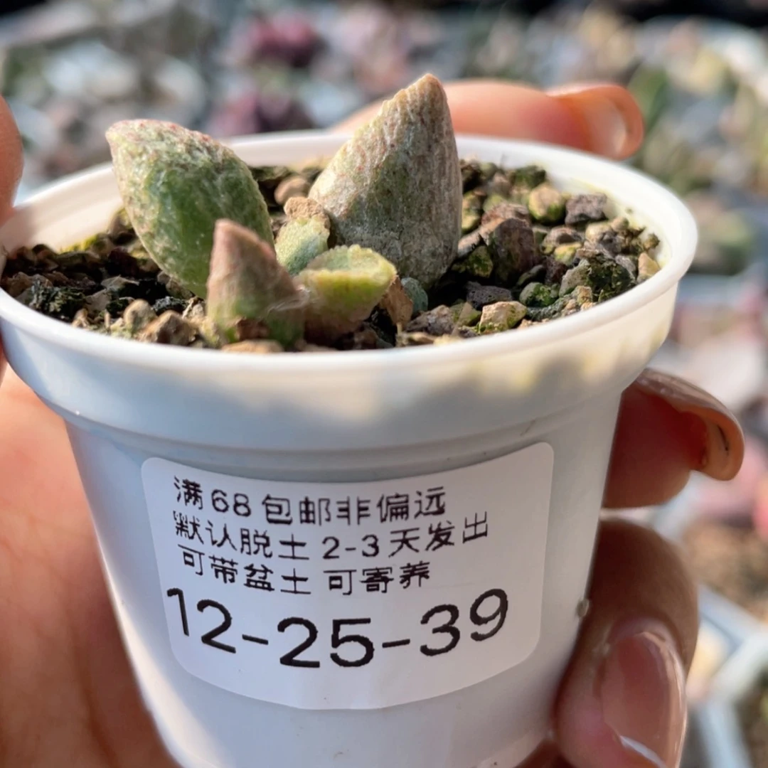 【闪购商品】     融