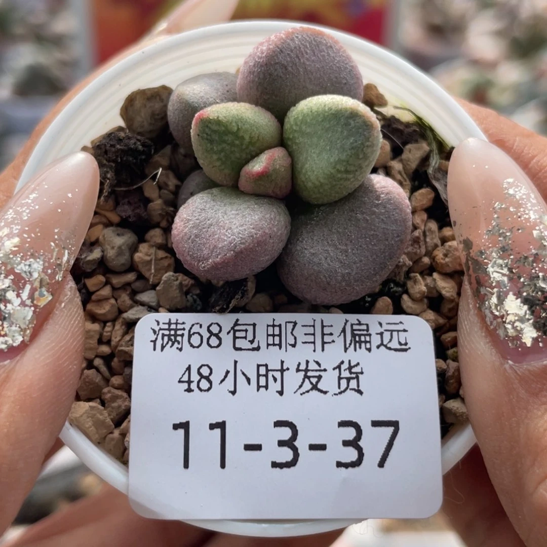 遇***缘     霓裳。