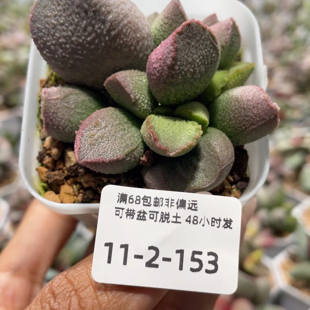 福利。