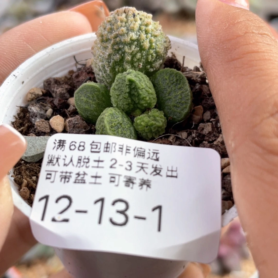 【闪购商品】