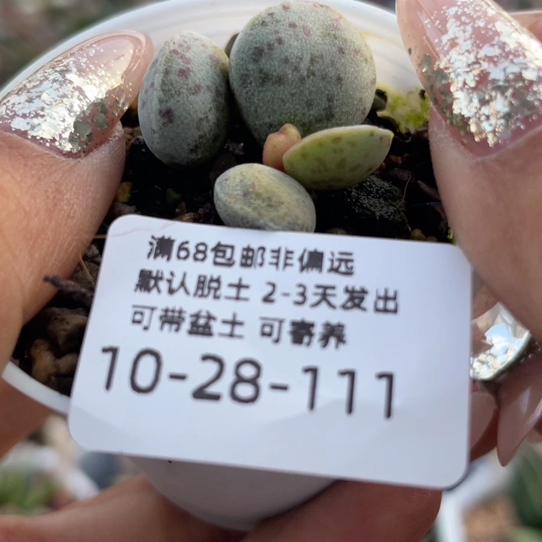 福利。