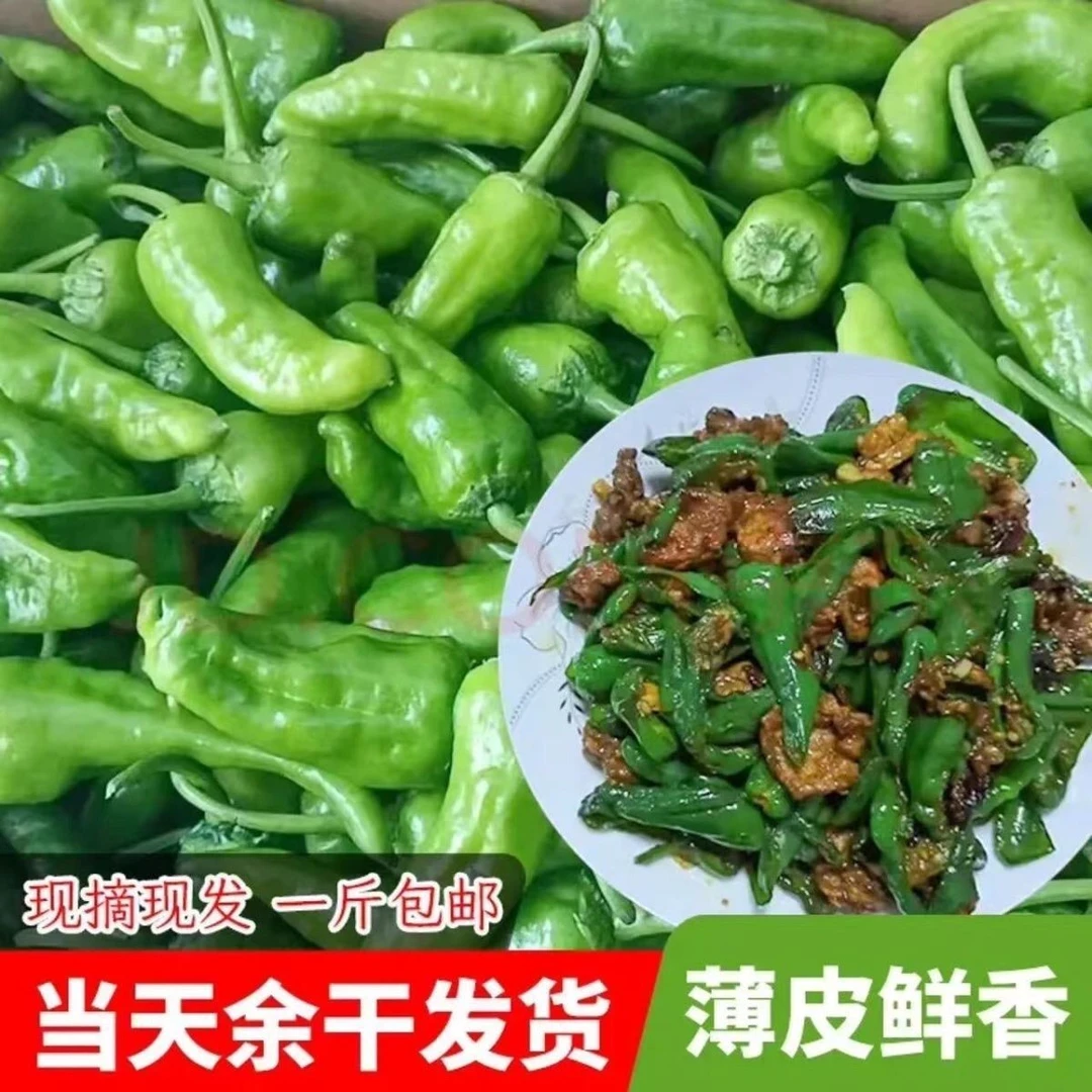 【原产地】5斤正宗余干小辣椒新鲜薄皮江西辣椒农村土辣椒特辣1斤