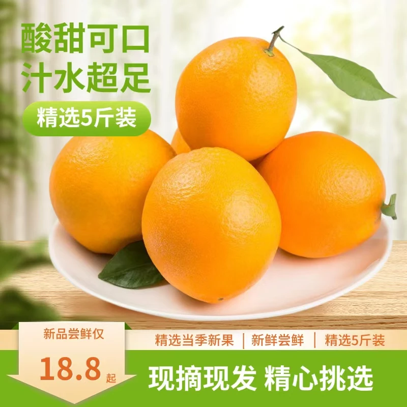 赣南脐橙现摘现发天然种植酸甜可口汁水十足口感好味美多汁