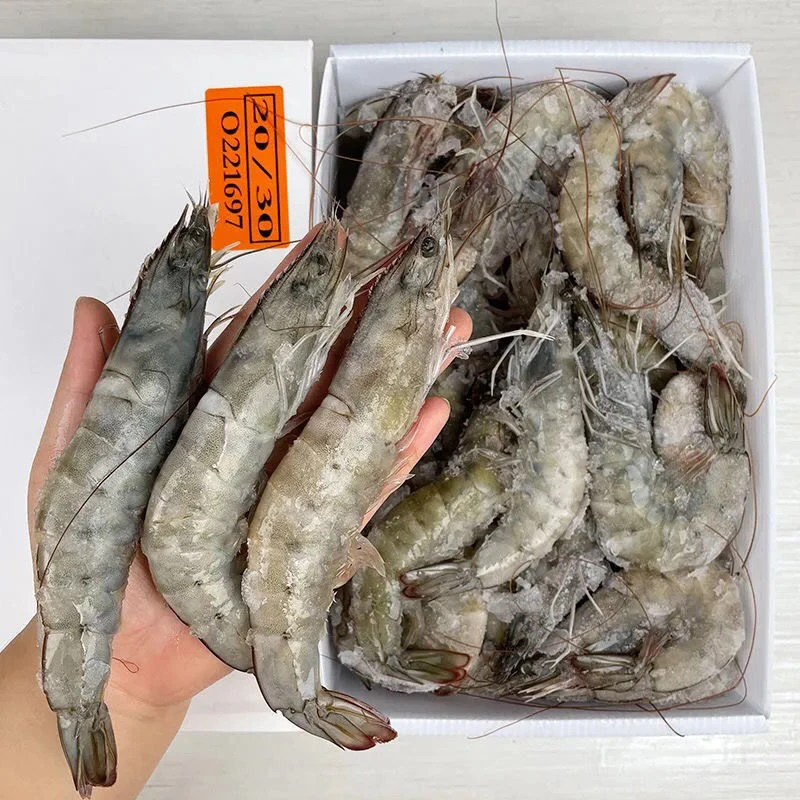 2030大号海虾15-18cm40只左右4斤/盒活虾速冻带保护冰