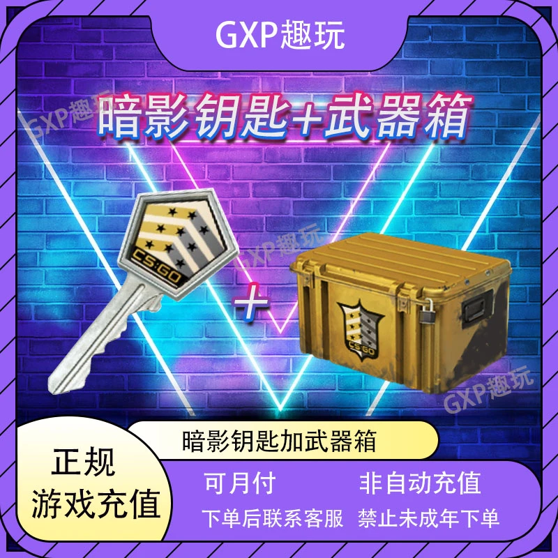 （可月付）CSGO/CS2箱子钥匙套暗影武器箱双匕皮肤饰品游戏充值