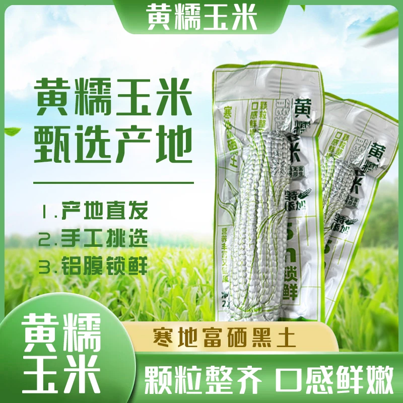 【厂家活动 试吃一根】精选东北黄糯玉米220g*8根代餐微甜软糯粘香