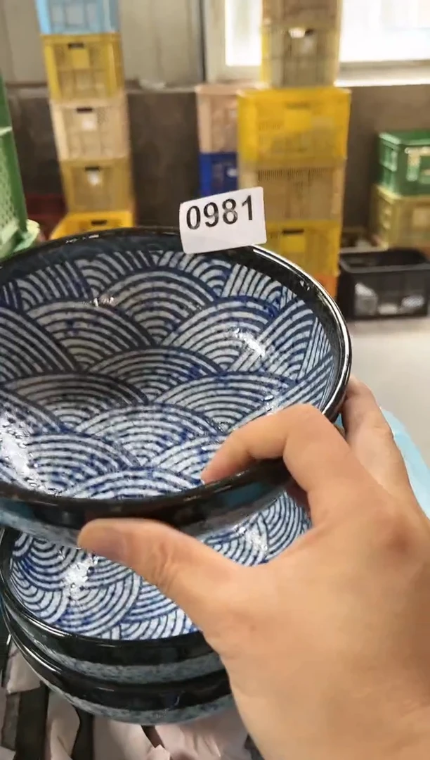 【闪购商品】瓷片           981号20*7