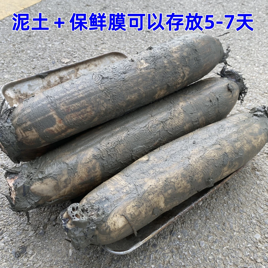 湖北粉藕藕王品质  洪湖沔城煲汤专用粉藕新鲜莲藕现挖现发