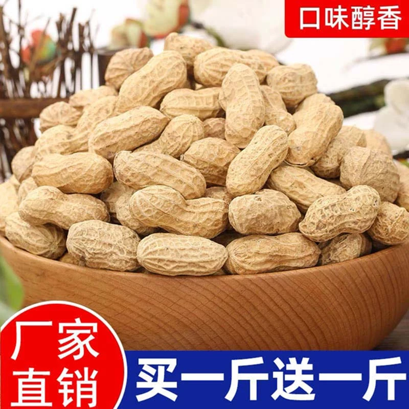 【新货】带壳花生500g袋装奶香味蒜香味坚果炒货休闲追剧零食250g