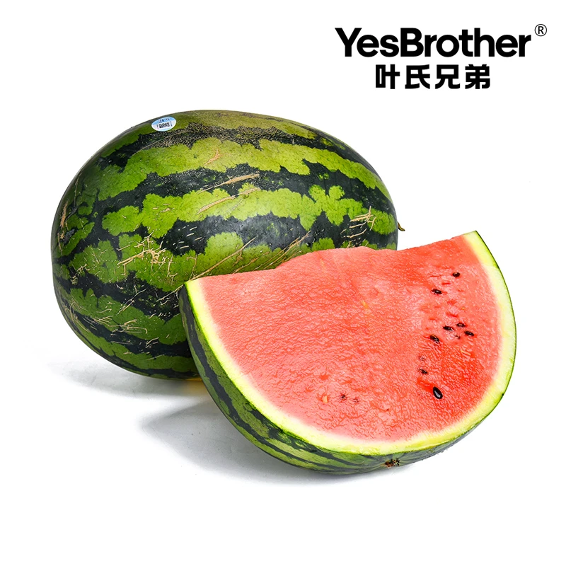 【1个】Yes御麒麟西瓜 约10斤