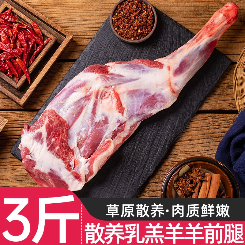 乳羔羊羊前腿3斤草原散养烤羊腿烧烤生鲜肉质细嫩食材生羊肉