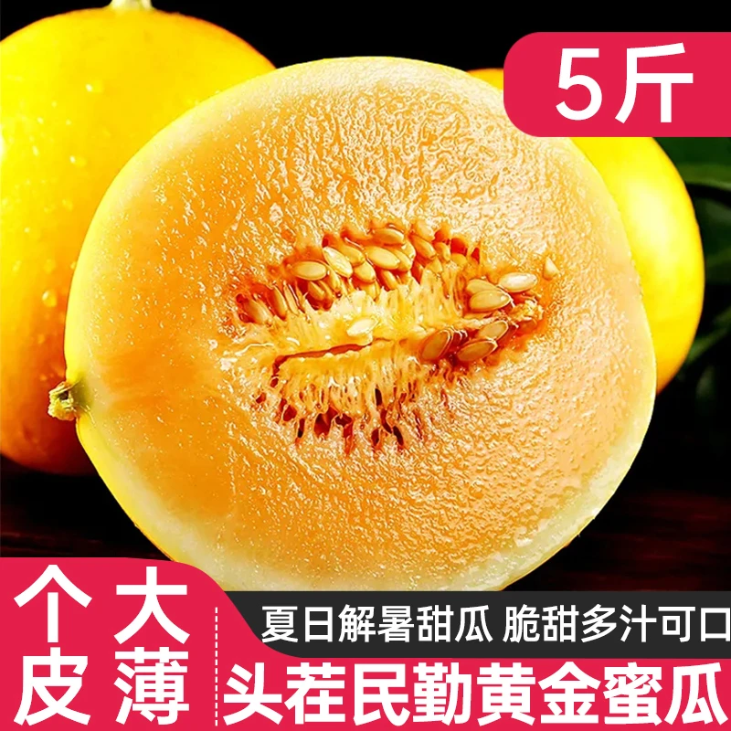 甘肃民勤蜜瓜沙漠黄河蜜瓜5斤新鲜水果黄金甜瓜香瓜现摘应季水果1