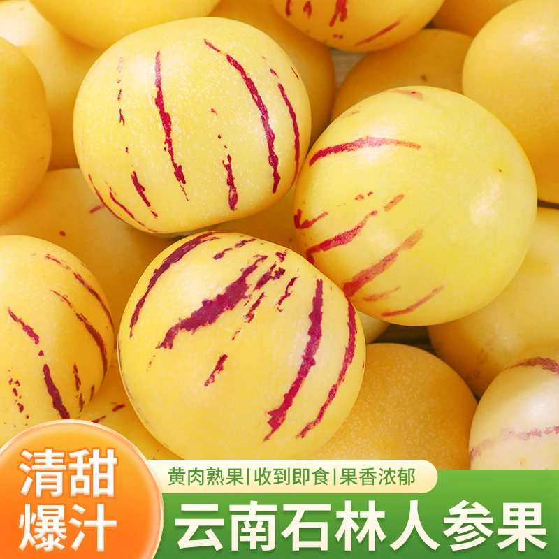 云南石林人参果带箱5斤单果120g+约14-22个坏果包赔