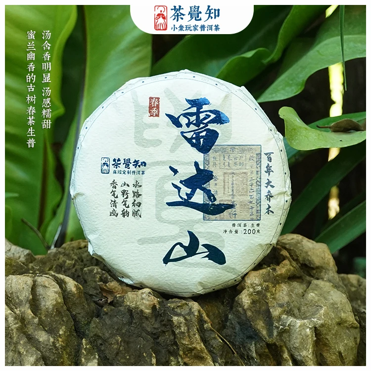 2023年蜜兰幽香百年古树春茶生普雷达山百年古树好茶传统工艺细腻