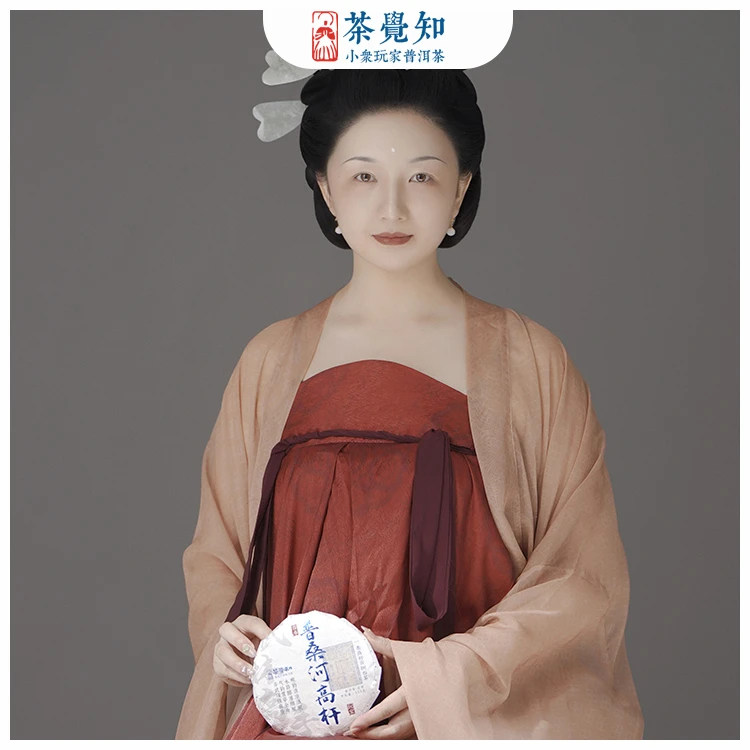 茶觉知2024年普桑河一类高杆 易武没有比它更好喝的高杆