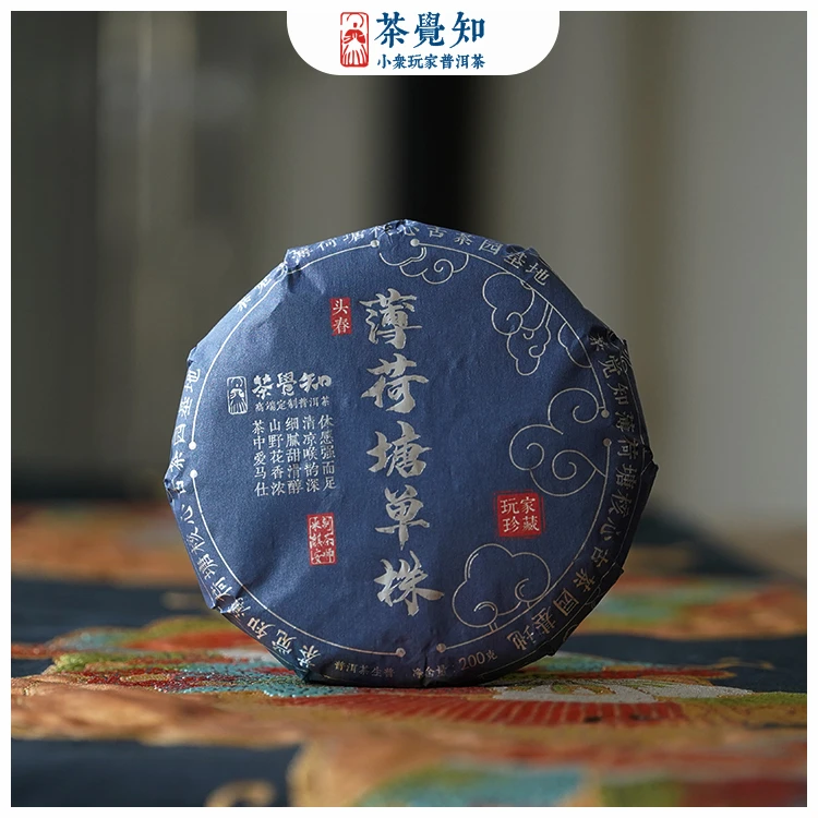 茶觉知2024年薄荷塘二类大单株古树头春普洱茶生普薄荷塘自有茶园