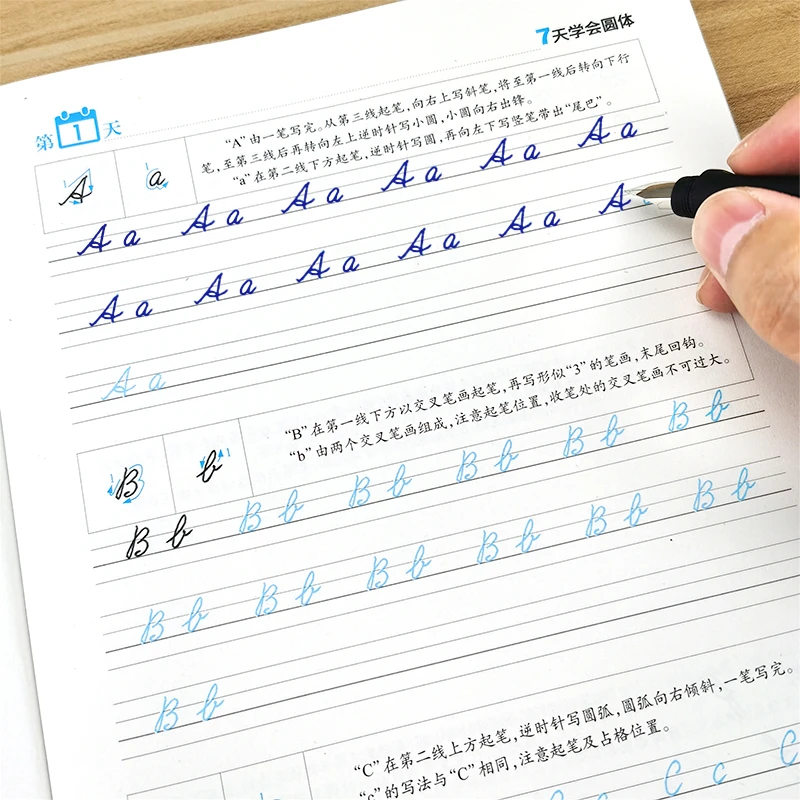 7天学会圆体英语钢笔练字帖初学者花体入门描红练字本26个字母