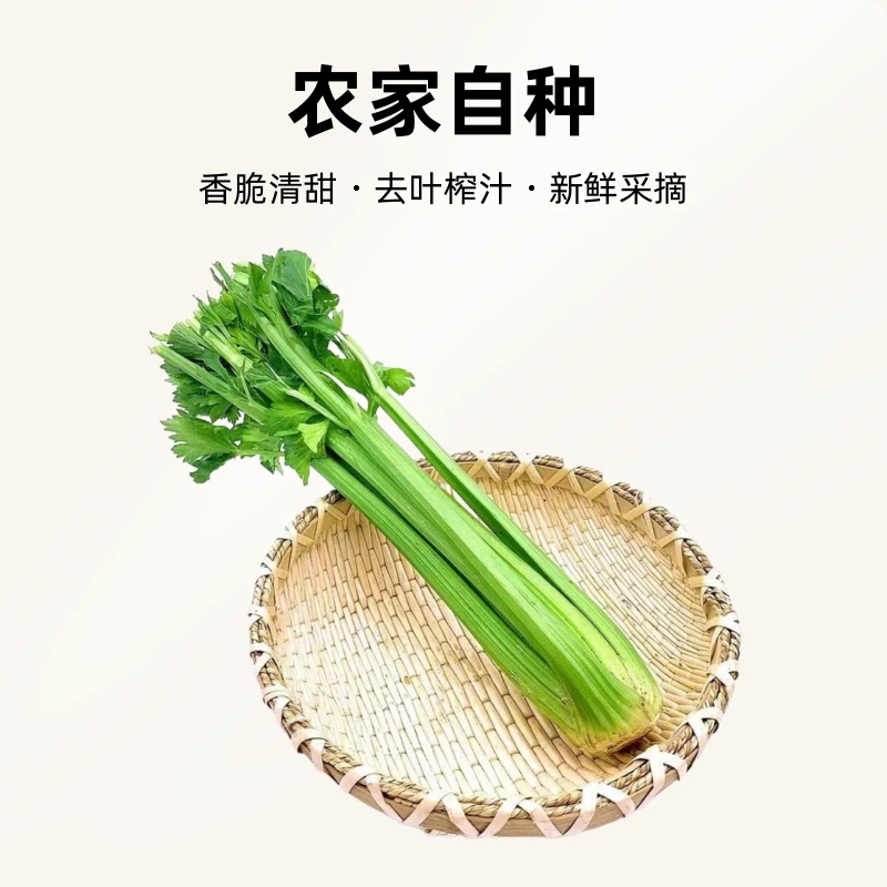【农家自种】河南西芹去叶榨汁专用脆嫩多汁5斤装西芹现挖zz